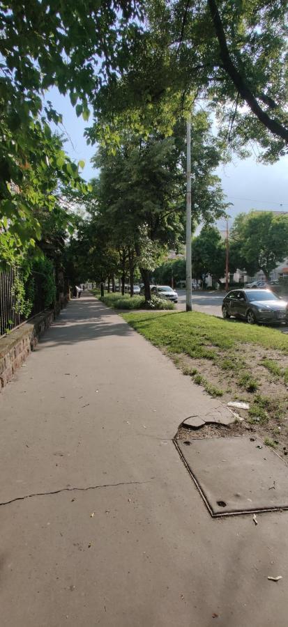Dorothy Apartment Near Budapest City Park Kültér fotó